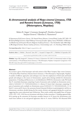 A Chromosomal Analysis of Nepa Cinerea Linnaeus, 1758 and Ranatra Linearis (Linnaeus, 1758) (Heteroptera, Nepidae)