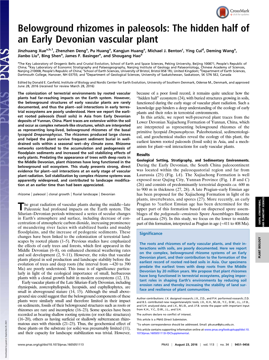 Belowground Rhizomes in Paleosols: the Hidden Half of an Early Devonian Vascular Plant