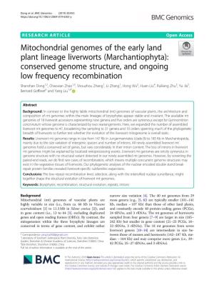 Mitochondrial Genomes of the Early Land Plant Lineage
