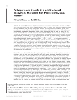 Pathogens and Insects in a Pristine Forest Ecosystem: the Sierra San Pedro Martir, Baja, Mexico1