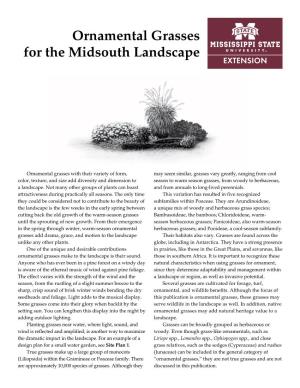 Ornamental Grasses for the Midsouth Landscape