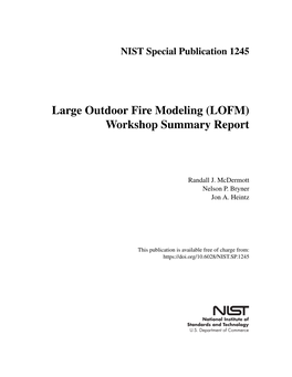 Large Outdoor Fire Modeling (LOFM) Workshop Summary Report