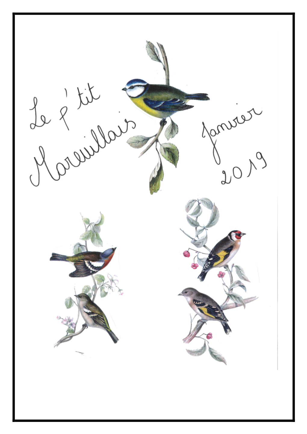 P'tit Mareuillais Janvier 2019