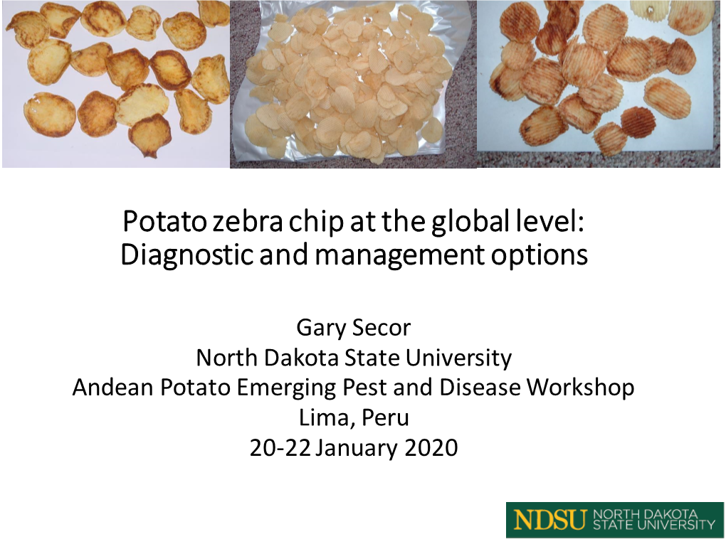 Potato Zebra Chip at the Global Level: Diagnostic and Management Options