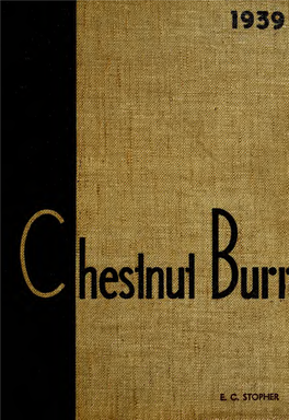 Chestnut Burr, 1939 / Seemed, Ta Lu