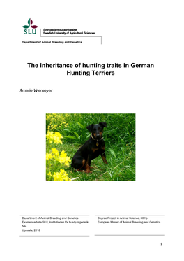 The Inheritance of Hunting Traits in German Hunting Terriers