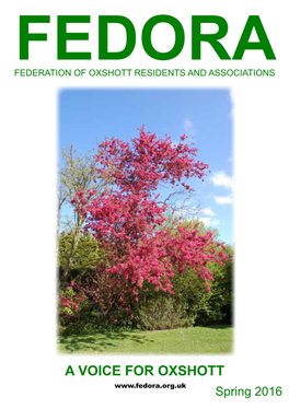 A VOICE for OXSHOTT Spring 2016 Contents
