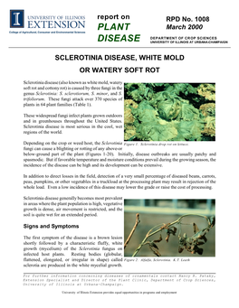 Sclerotinia Disease, White Mold Or Watery Soft Rot