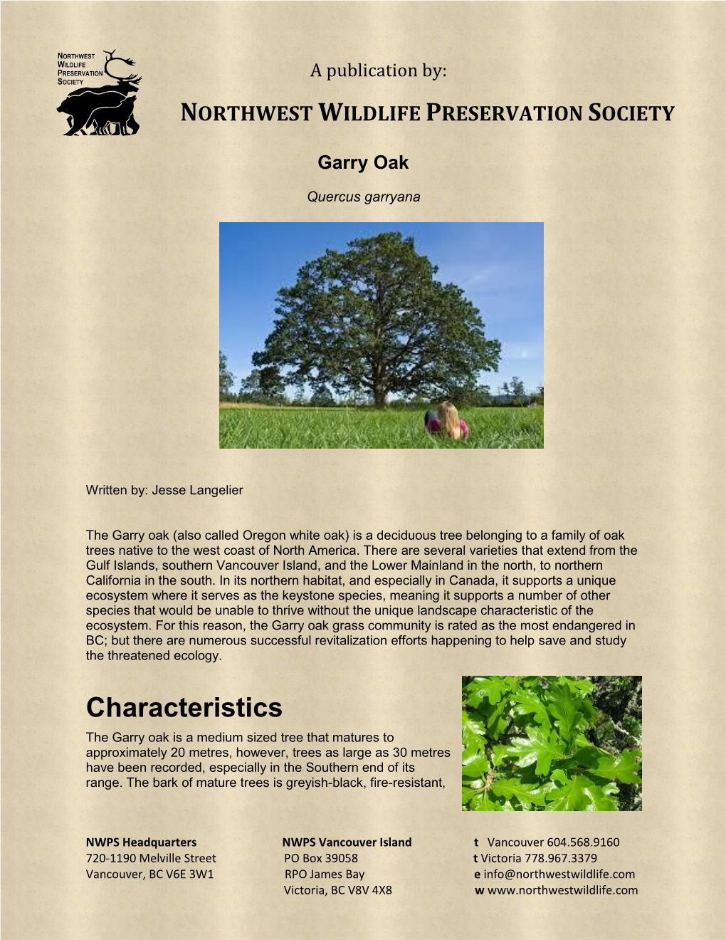 Garry-Oak.Pdf