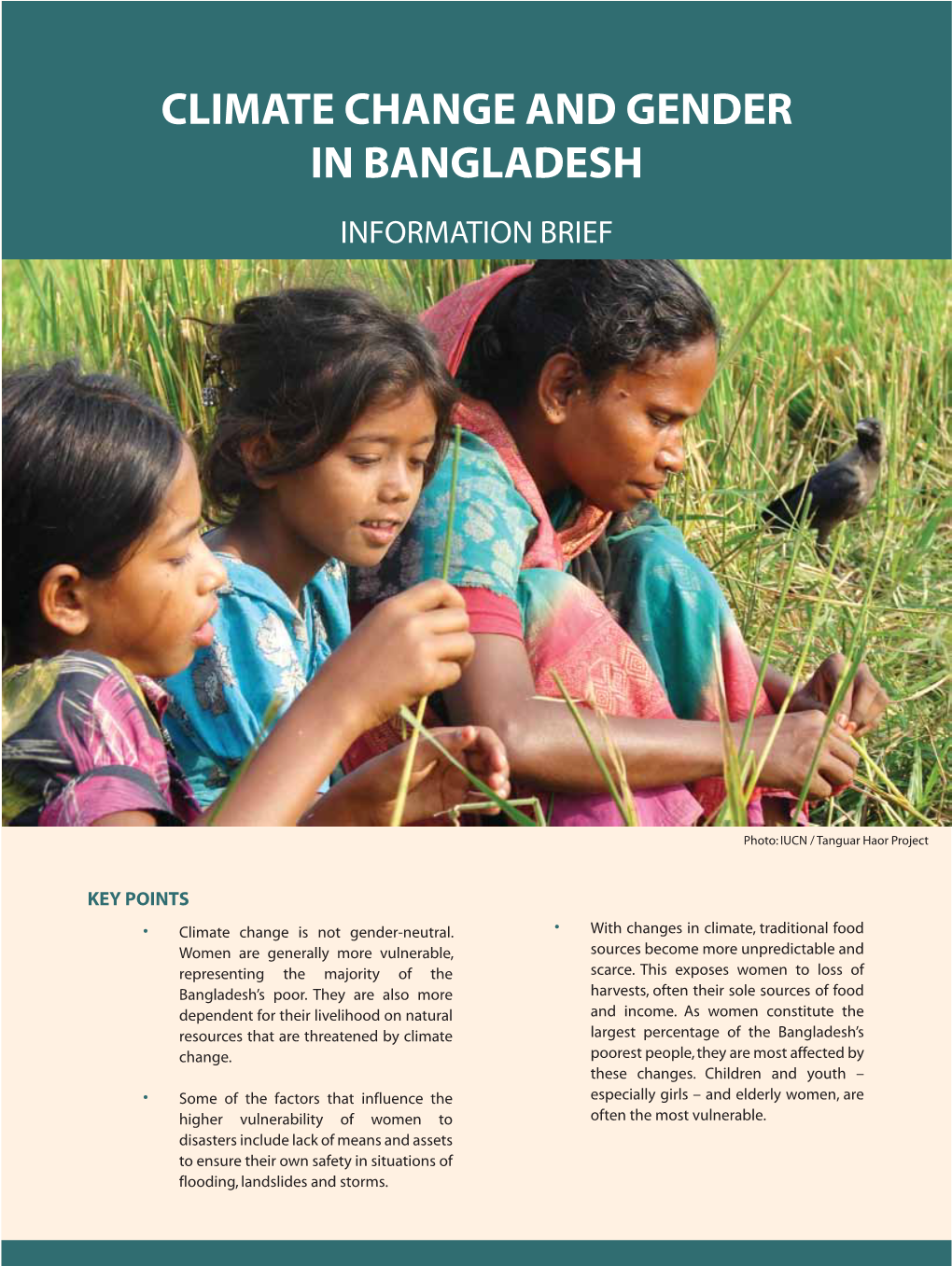 Climate Change and Gender in Bangladesh Information Brief