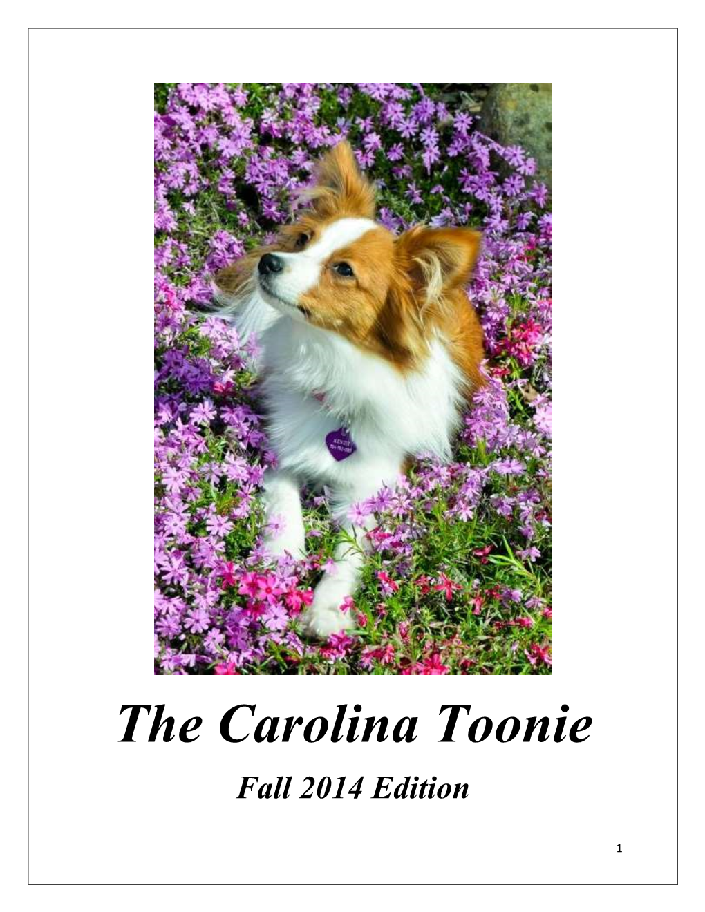 The Carolina Toonie Fall 2014 Edition