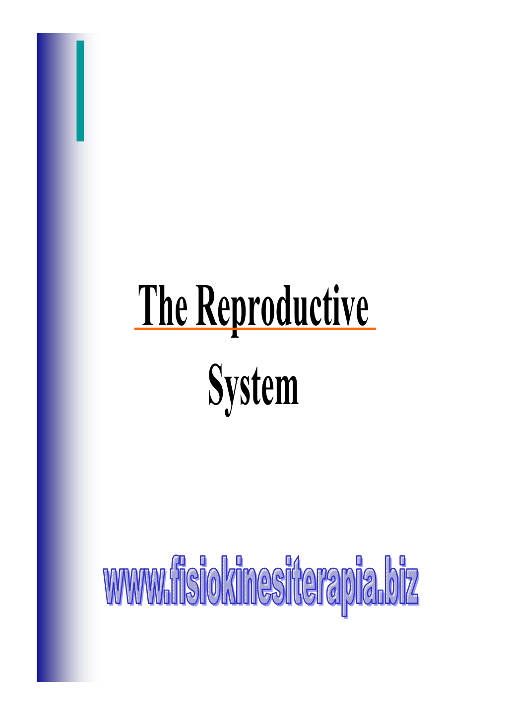 The Reproductive System Thethe Reproductivereproductive Systemsystem