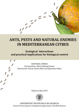 Ants, Pests and Natural Enemies in Mediterranean Citrus