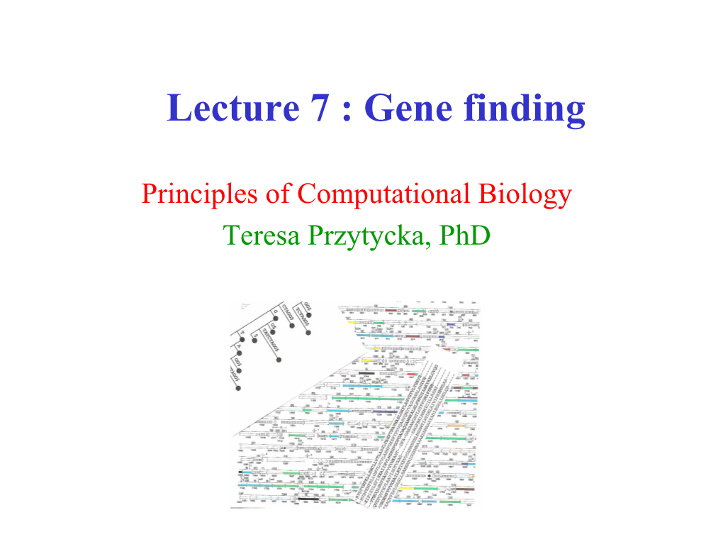 Lecture 7 : Gene Finding