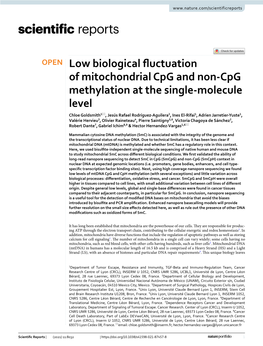 Low Biological Fluctuation of Mitochondrial Cpg and Non-Cpg
