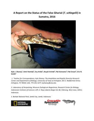 A Report on the Status of the False Gharial (T. Schlegelii) in Sumatra, 2016