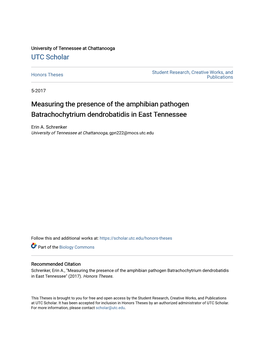 Measuring the Presence of the Amphibian Pathogen Batrachochytrium Dendrobatidis in East Tennessee