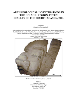 Archaeological Investigations in the Holmul Region, Peten, Guatemala