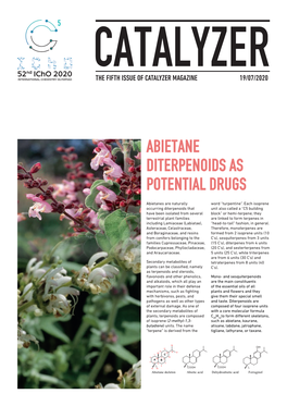 Abietane Diterpenoids As Potential Drugs