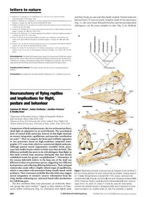 Neuroanatomy of Flying Reptiles And
