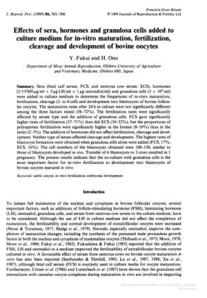 Cleavage and Development of Bovine Oocytes Y