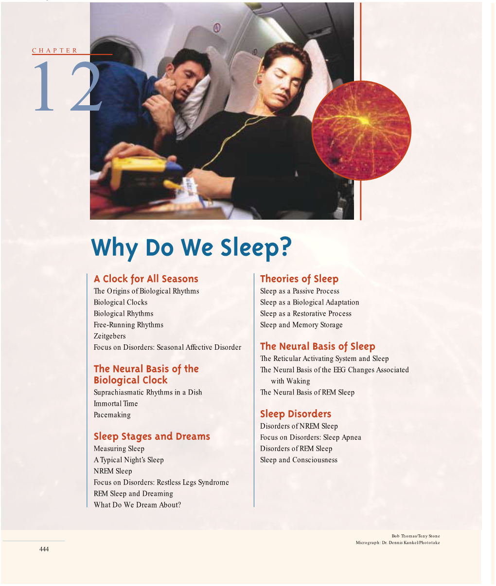 Why Do We Sleep?