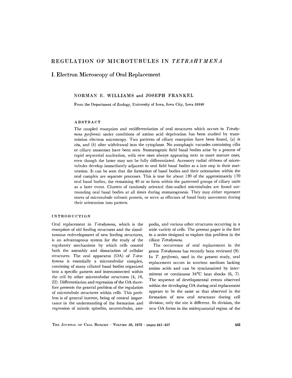 REGULATION of MICROTUBULES in TETRAHYMENA I. Electron