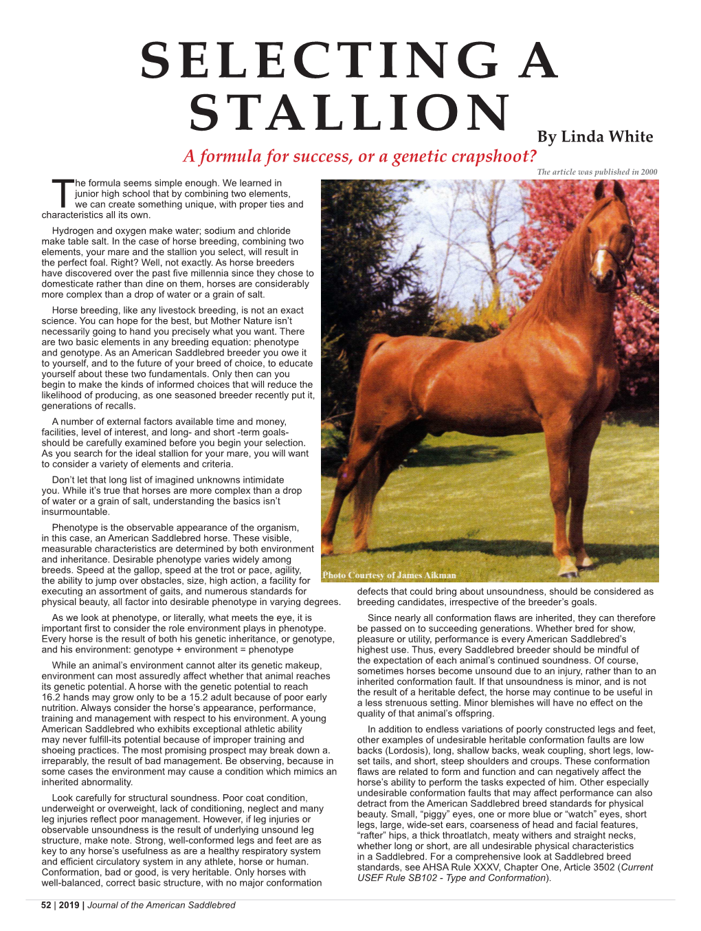 SELECTING a STALLION by Linda White