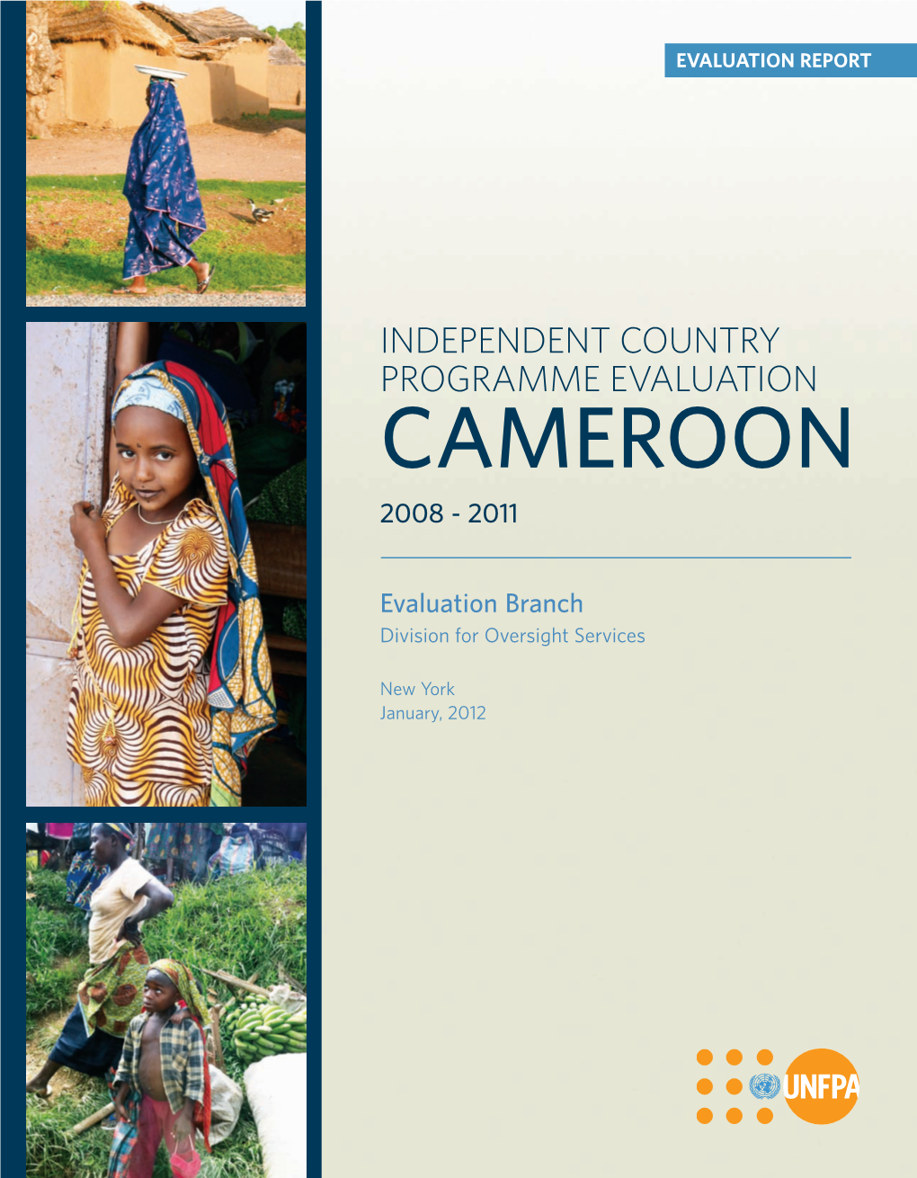 Country Programme Evaluation: Cameroon 2008-2011
