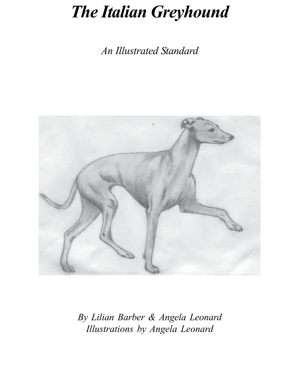 The Italian Greyhound