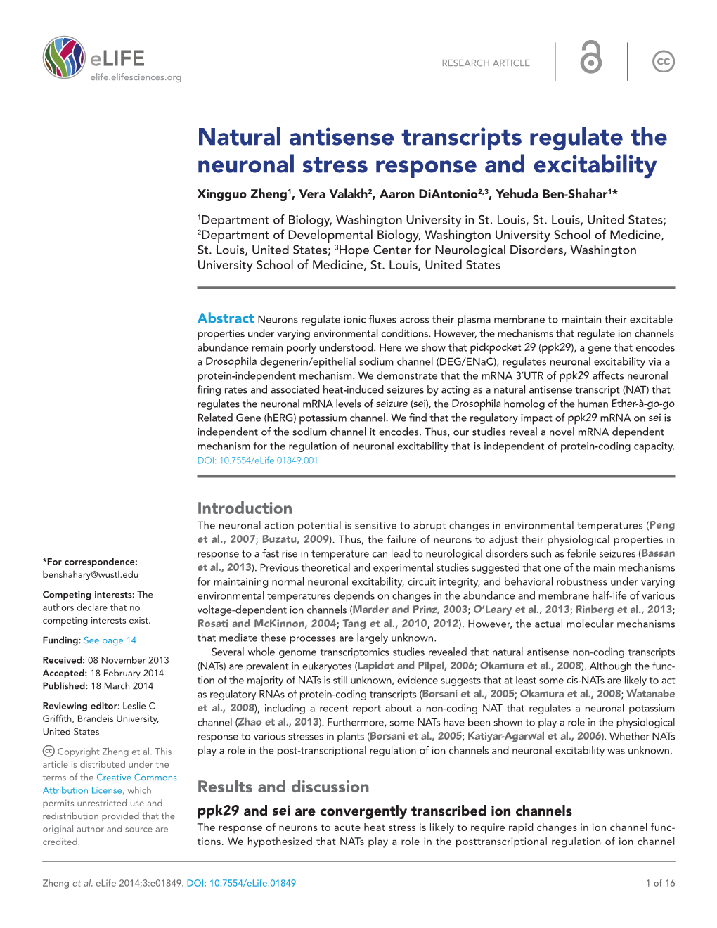 Natural Antisense Transcripts Regulate the Neuronal Stress Response and Excitability Xingguo Zheng1, Vera Valakh2, Aaron Diantonio2,3, Yehuda Ben-Shahar1*