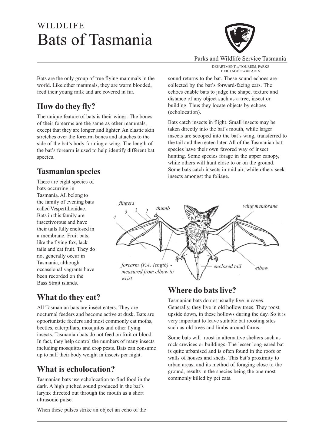 Bats of Tasmania