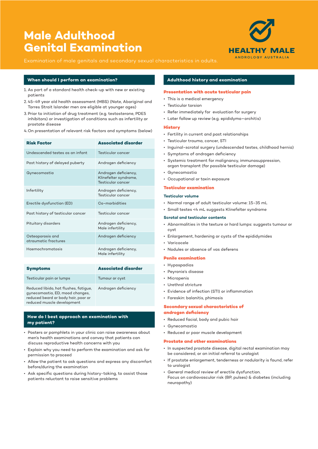 Male Adulthood Genital Examination Examination of Male Genitals and Secondary Sexual Characteristics in Adults