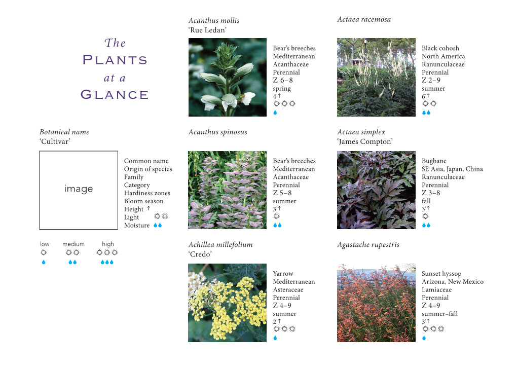 Bosque Index