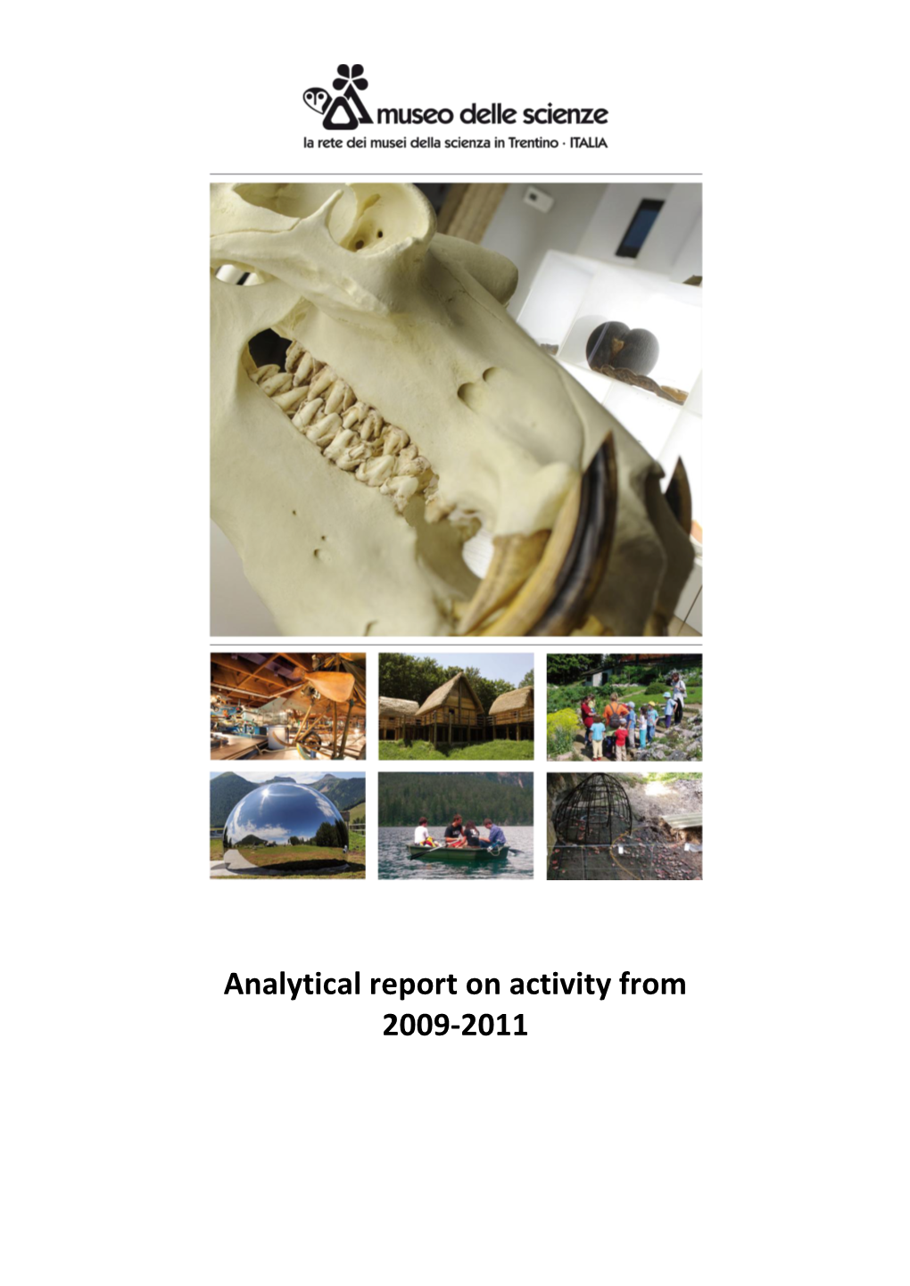 Analytical Report on Activity from 2009-2011