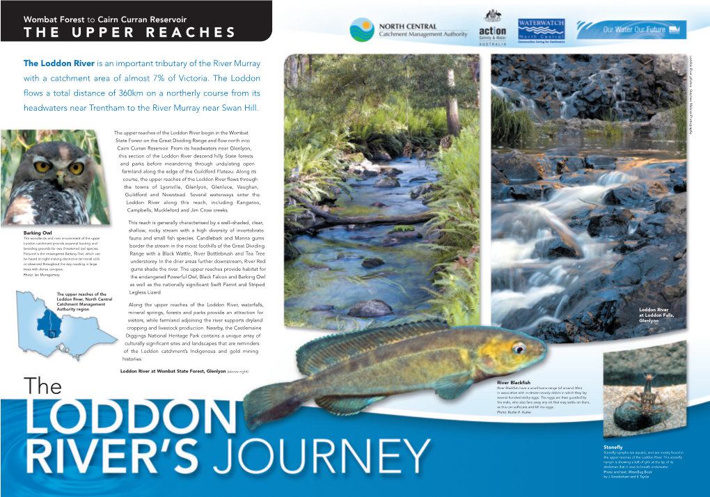 Loddon River's Journey Posters