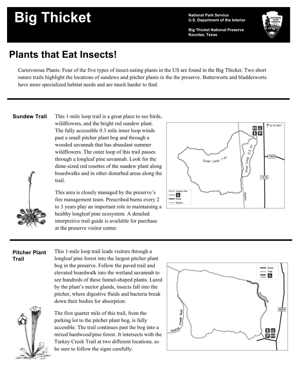 Plants That Eat Insects!