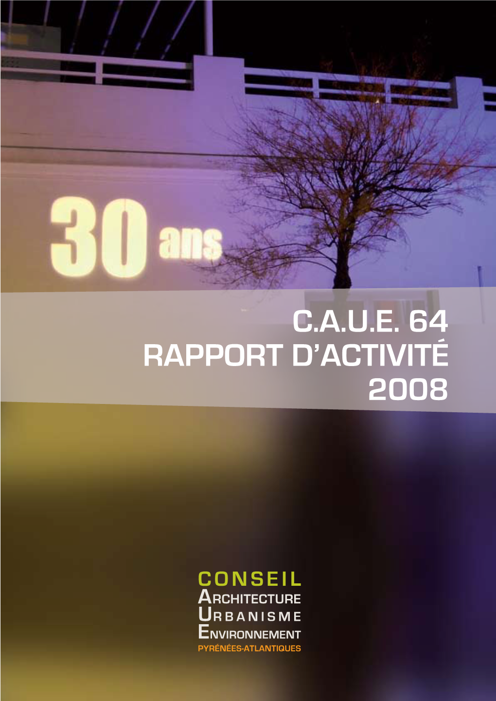 C.A.U.E. 64 Rapport D'activité 2008