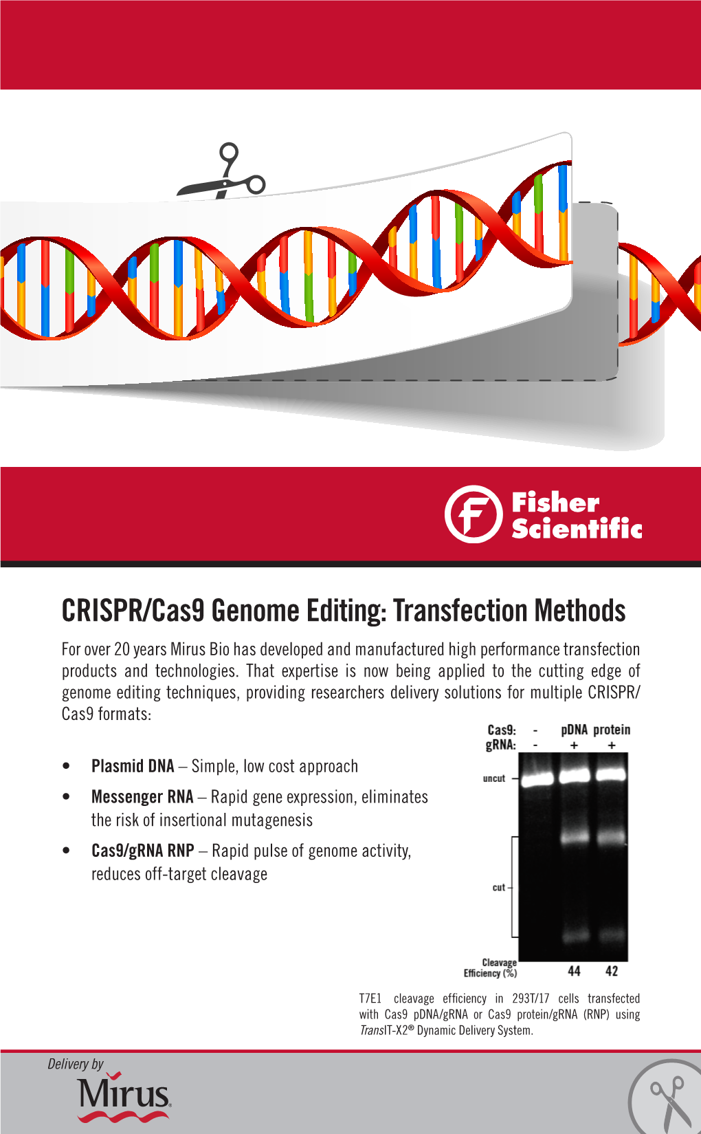 CRISPR/Cas9 Genome Editing: Transfection Methods for Over 20 Years Mirus Bio Has Developed and Manufactured High Performance Transfection Products and Technologies