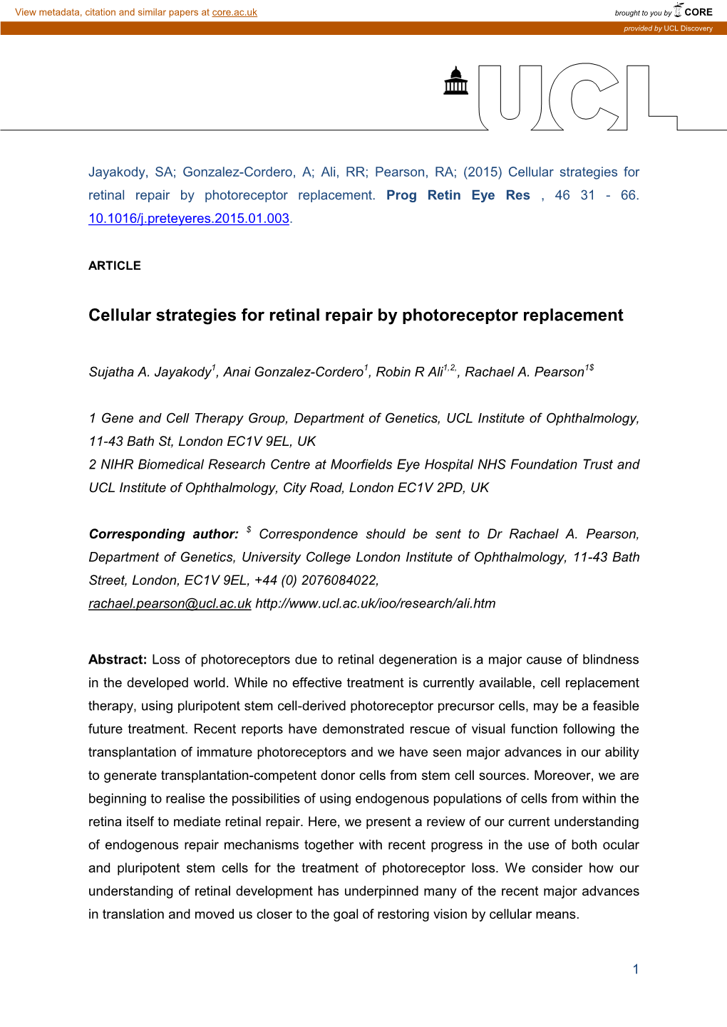 Cellular Strategies for Retinal Repair by Photoreceptor Replacement