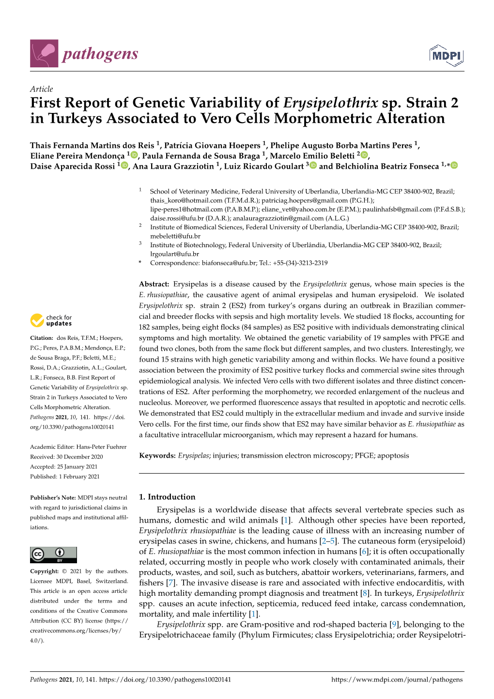 First Report of Genetic Variability of Erysipelothrix Sp. Strain 2 in Turkeys Associated to Vero Cells Morphometric Alteration