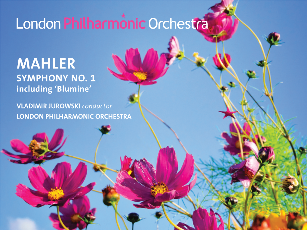 Mahler Symphony No