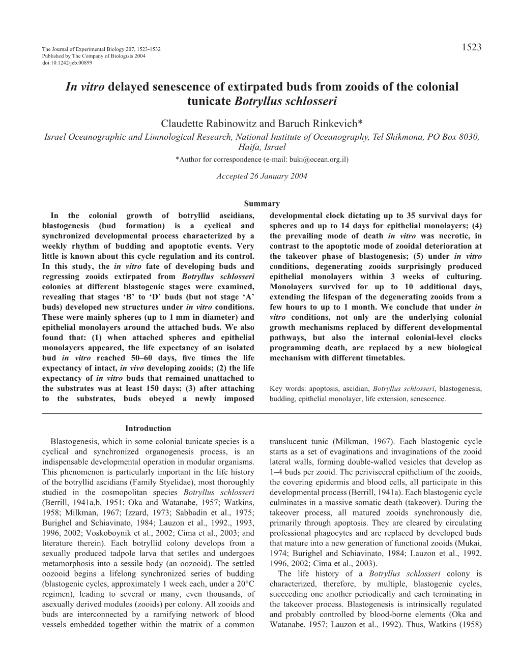 In Vitro Delayed Senescence of Extirpated Buds from Zooids of The