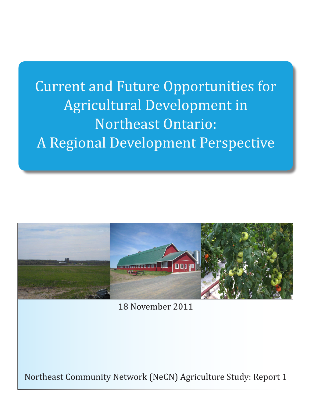 Current and Future Opportunities for Agricultural Development in Northeast Ontario: a Regional Development Perspective