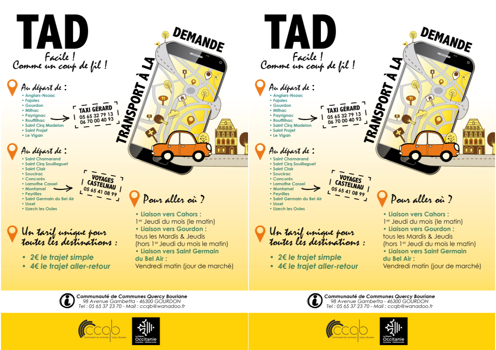 Tad-Flyer-2019.Pdf