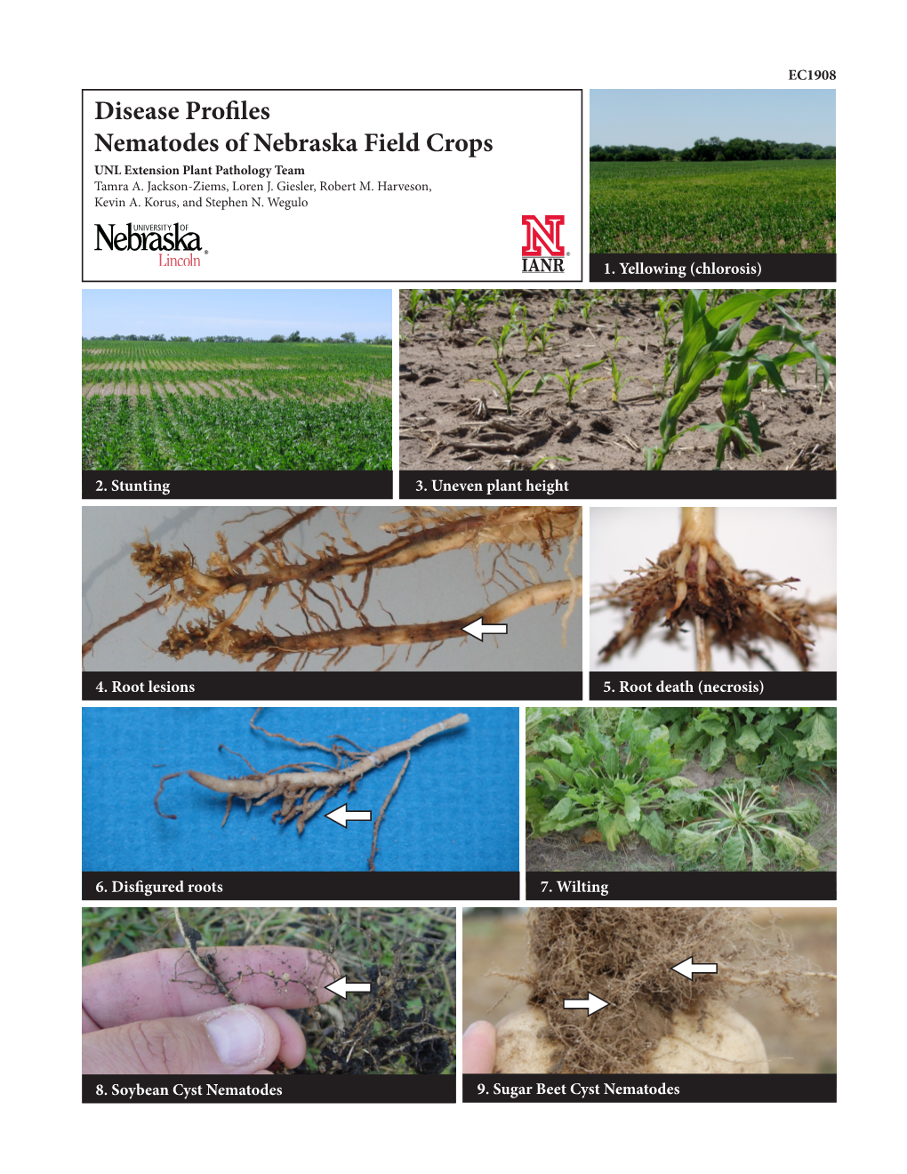 Nematodes of Nebraska Field Crops UNL Extension Plant Pathology Team Tamra A