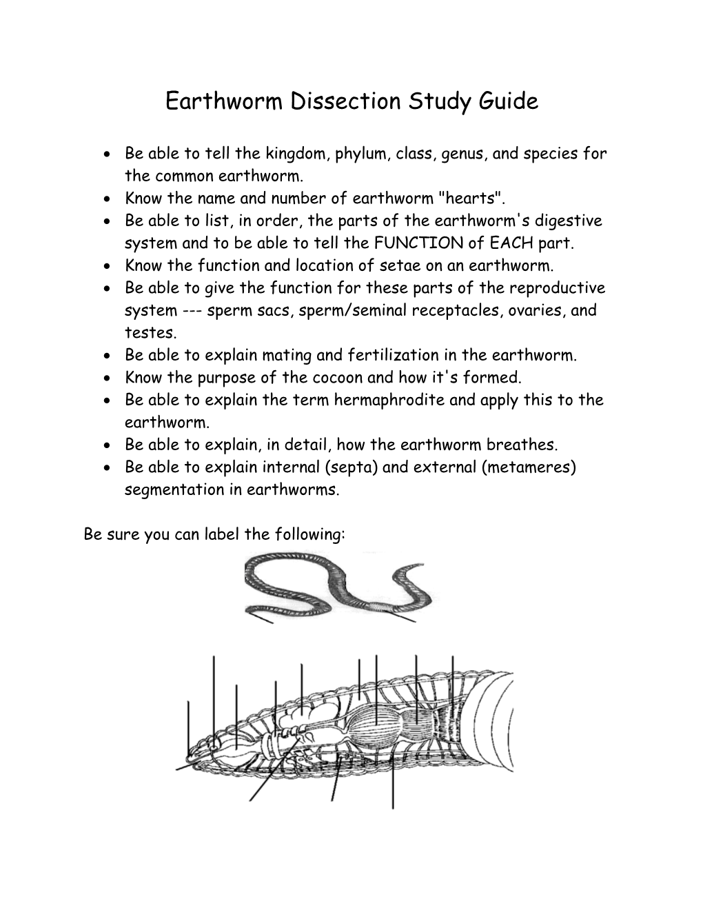 Earthworm Dissection Study Guide