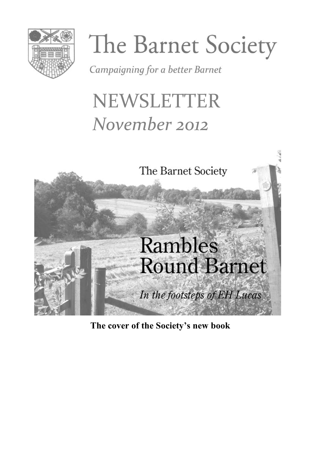 NEWSLETTER November 2012