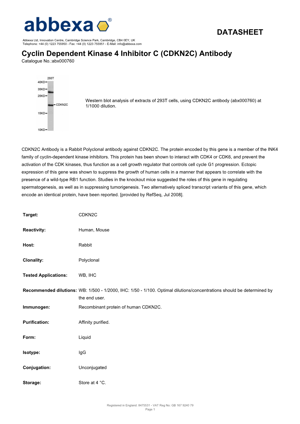 DATASHEET Cyclin Dependent Kinase 4 Inhibitor C (CDKN2C