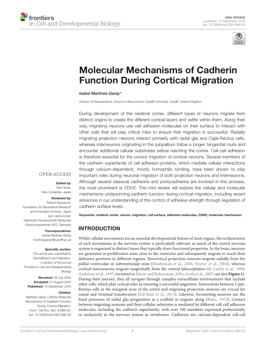 Molecular Mechanisms of Cadherin Function During Cortical Migration